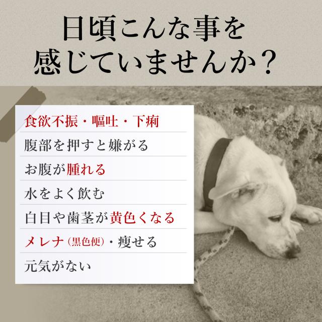 メール便無料 肝臓の健康維持 8成分配合 犬用サプリ チキン味錠剤 毎日良肝 肝臓エキス プラセンタ 1袋60粒入り の通販はau Pay マーケット ペットサプリのウィズペティ