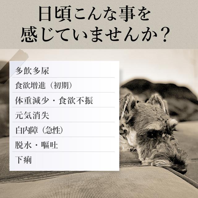 メール便無料 体重 血糖値の健康維持 8成分配合 犬用サプリ チキン味錠剤 毎日習慣 サラシア イヌリン 1袋60粒入りの通販はau Pay マーケット ペットサプリのウィズペティ メール便無料 体重 血糖値の健康維持 8成分配合 犬用サプリ チキン味錠剤 毎日習慣 サラシア イヌリン 1袋60粒入りの通販はau Pay マーケット ペットサプリのウィズペティ