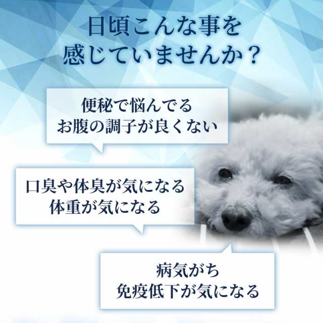 メール便無料 腸内環境の健康維持 2成分配合 犬用サプリ チキン味錠剤 毎日爽快 植物酵素 乳酸菌 1袋60粒入り の通販はau Pay マーケット ペットサプリのウィズペティ