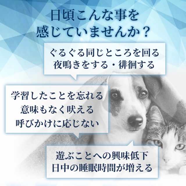 犬猫兼用ミルク味粉末サプリ 毎日愛眼 - その他