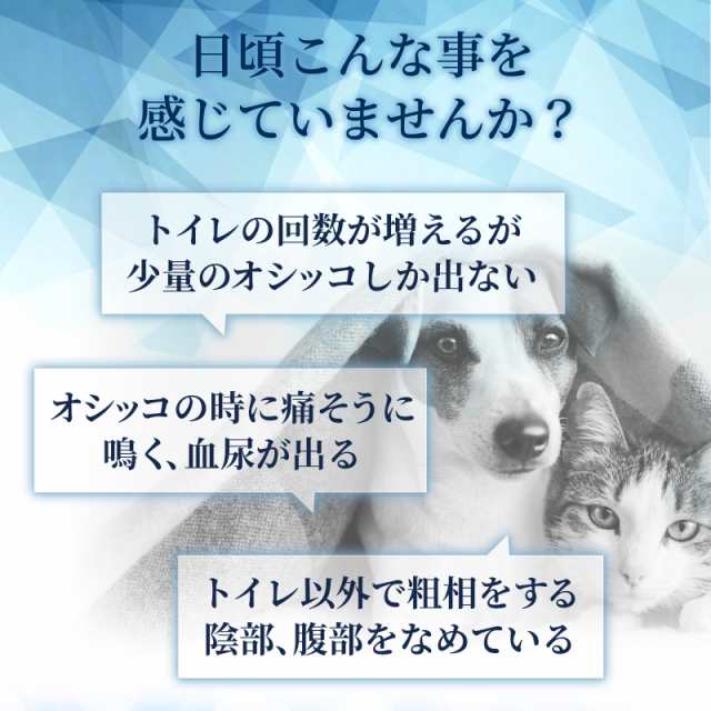 メール便無料】（腎臓・泌尿器の健康維持）【7成分配合】【犬猫兼用