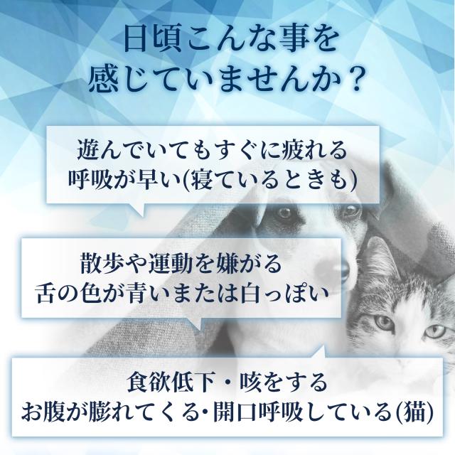 メール便無料】（心臓の健康維持）【7成分配合】【犬猫兼用サプリ/粉末