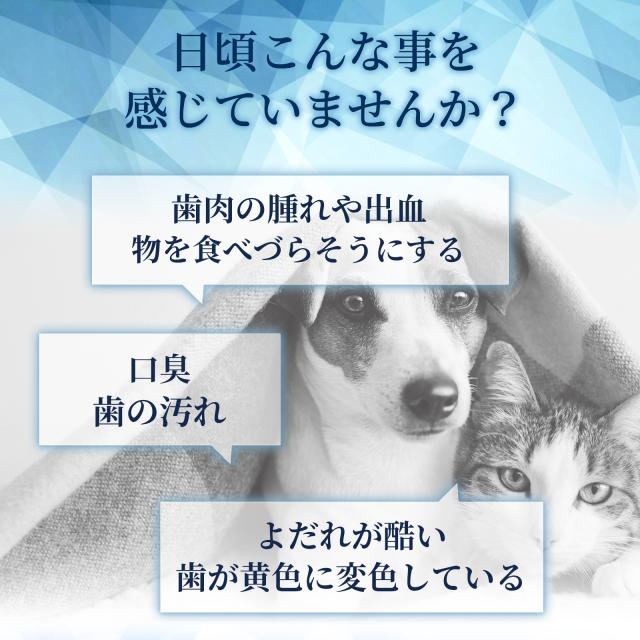 メール便無料】（お口の健康維持）【7成分配合】【犬猫兼用サプリ/粉末