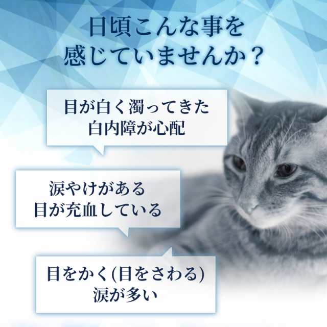 メール便無料】（目の健康維持）【6成分配合】【猫用サプリ/カツオ味