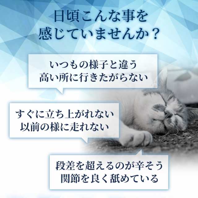 メール便無料】（関節の健康維持）【6成分配合】【猫用サプリ/カツオ味