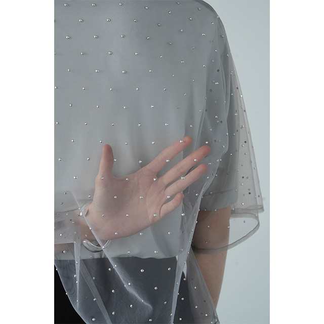 クラネ CLANE ラインストーン シアー トップス RHINESTONE SHEER TOPS 【2024 新作】