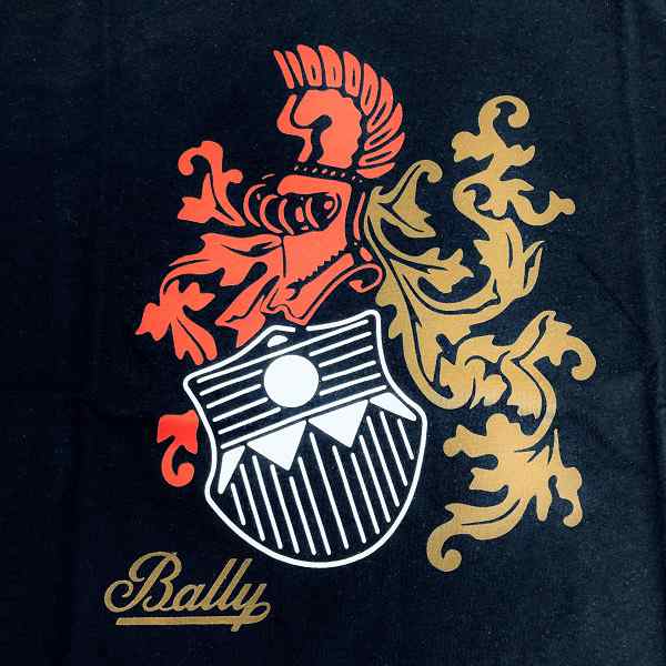 国内送料無料！！ BALLY バリー Tシャツ カットソー メンズ 半袖 紺 M