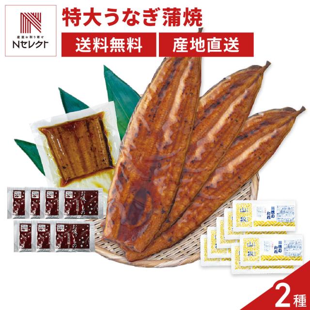 鹿児島県産 特大うなぎ蒲焼3尾 蒲焼切身1袋 セット 鰻 国産 ウナギ 和風惣菜 おかず うな重【北海道・沖縄県・離島 配送不可】