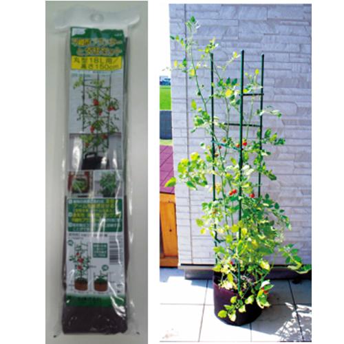 渡辺泰 不織布プランターと支柱セット 丸型１８ｌ用 不織布プランター 茶色 支柱 緑 高さ150cmの通販はau Pay マーケット Dcmオンライン