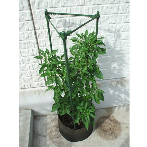 渡辺泰 不織布プランターと支柱セット 丸型１８ｌ用 不織布プランター 茶色 支柱 緑 高さ150cmの通販はau Pay マーケット Dcmオンライン