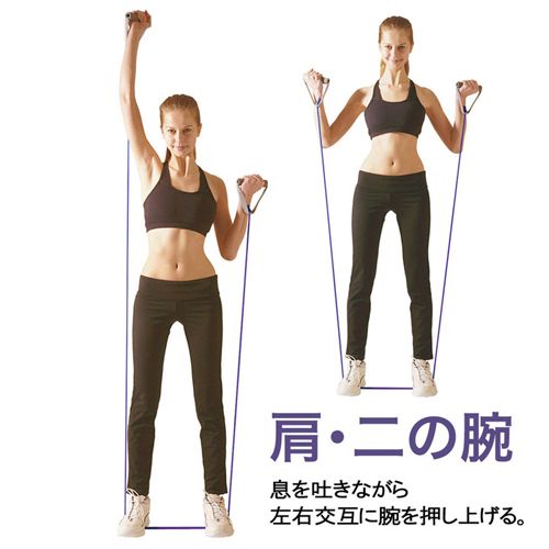 La Vie フィットネスチューブ 3b 3051 パープル ハードの通販はau Pay マーケット Dcmオンライン