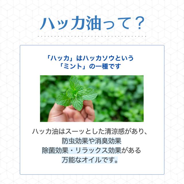 ハッカ油 ml 武内製薬 花粉 花粉症 天然ハッカ油 マスク 送料無料 国産 ハッカ油スプレー お風呂 虫除け アロマテラピー に 虫よけスプの通販はau Pay マーケット ブラジリアンワックス脱毛用品のビューティーカート