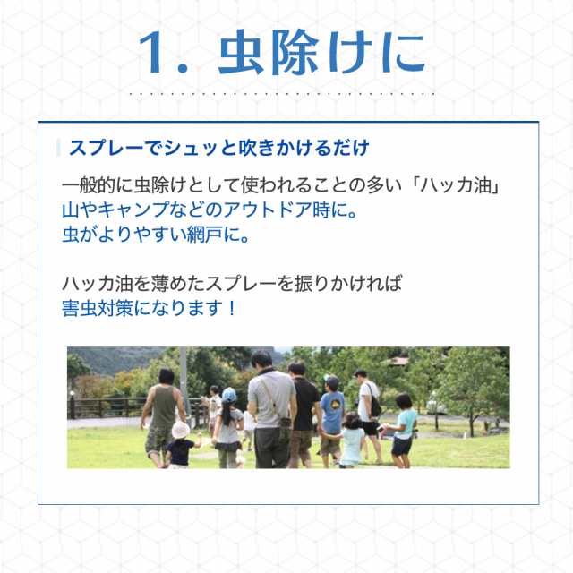 ハッカ油 ml 武内製薬 花粉 花粉症 天然ハッカ油 マスク 送料無料 国産 ハッカ油スプレー お風呂 虫除け アロマテラピー に 虫よけスプの通販はau Pay マーケット ブラジリアンワックス脱毛用品のビューティーカート