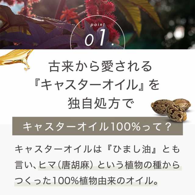 キャスターオイル 300ml 武内製薬 ひまし油 ヒマシ油 キャスター