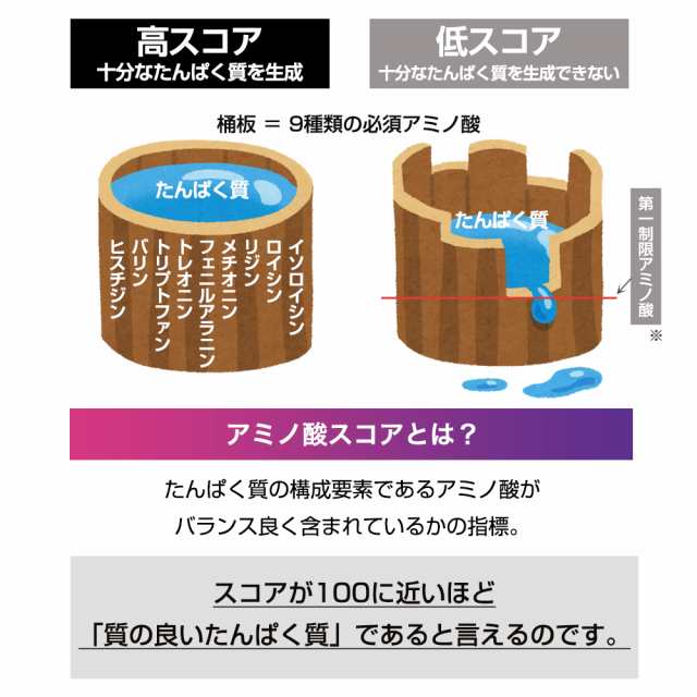 プロテイン ホエイ 1kg 武内製薬 WPC THE PROTEIN ホエイプロテイン 女性 男性 ダイエット プロテインダイエット バナナ  ストロベリー コの通販はau PAY マーケット - ブラジリアンワックス脱毛用品のビューティーカート