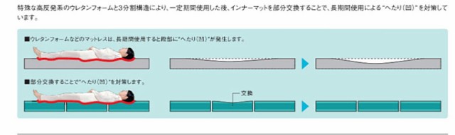 代引き不可) 静止型マットレス テルサ 防水・清拭消毒タイプ