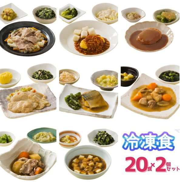 介護食 冷凍 ムース レトルト 冷凍おかず やわらか（代引き不可） HGセットプラス 20種×2個セット おかず ムース食 冷凍食 介護用品