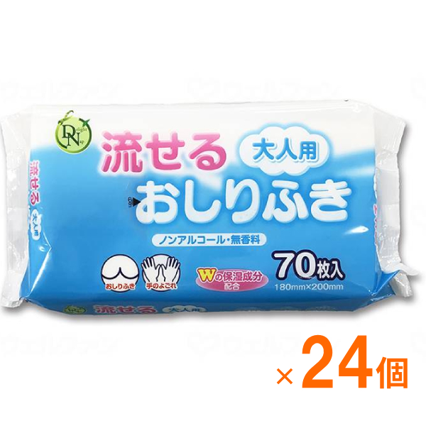 ( 1ケース ) 24袋 トイレに流せるタイプ 大人用流せるおしりふき 70枚 ノンアルコール 無香料 大一紙工 ( ポップアップ式 不織布 清拭 おむつ交換時 お手拭き 身体拭き ) 介護用品