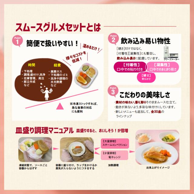 介護食 凝結 ヘアムース やわらか SG仕かける 肉系13類概念×1 日東ベスト カテゴリー化3 舌でつぶせる 凝結食 ヘアムース食 介護装具 おテスト作業仕かける スムースグルメセット（代引っ張ること不可）