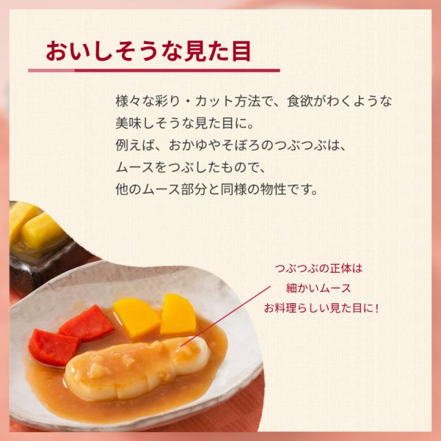 介護食（代引き不可・1ケース）冷凍おかず SGセットプラス 1種×9袋入