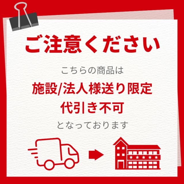 法人様限定 代引き不可) シャワースカールE SW6400 メッシュシート