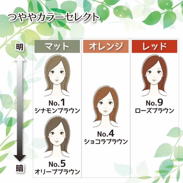 AAAランク天然100% ヘナ 白髪染め ヘナ フルオーガニックカラー