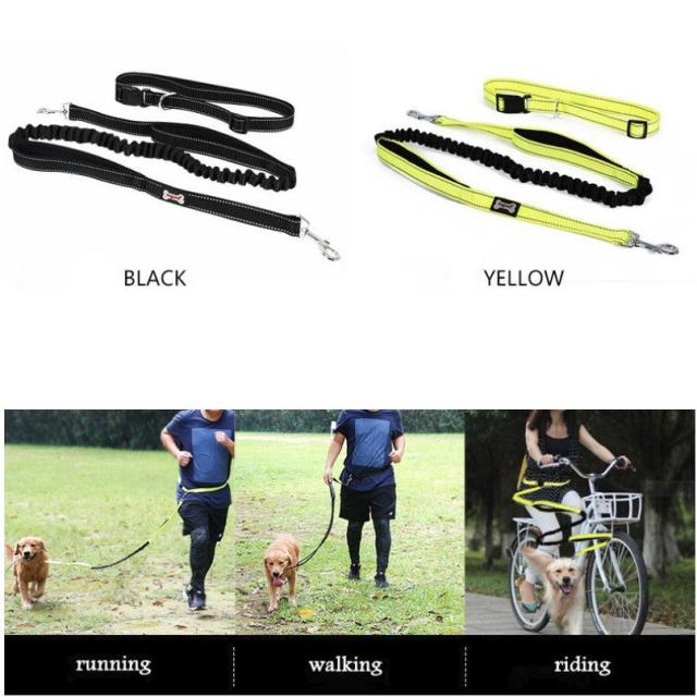 犬用 伸縮リード ウエストベルト ランニング ジョギング ウォーキング ハイキング 腰ベルト 引きひも 反射素材の通販はau Pay マーケット Bayt