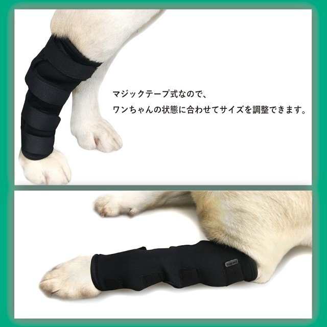 犬用 ひざ サポーター 骨折治療 関節 プロテクター 膝サポーター ケア リハビリ 捻挫 筋挫傷 外科用 傷を保護 片足 2枚の通販はau Pay マーケット Bayt