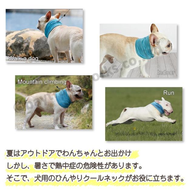 犬 クールネック 水に浸すだけでひんやり クールタオル クールバンダナ 熱中症対策 スカーフ 犬用の通販はau Pay マーケット Bayt