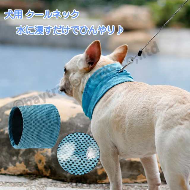 犬 クールネック 水に浸すだけでひんやり クールタオル クールバンダナ