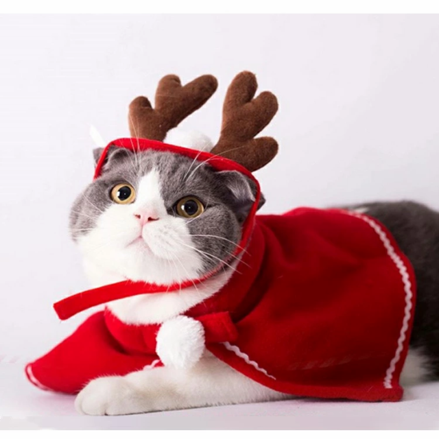 クリスマス 衣装 犬 猫 服 ペット服 サンタ トナカイ コスプレ キャットウェア ねこ 犬の服 猫の洋服 冬 可愛い かわいいの通販はau Pay マーケット Felmer フェルマー