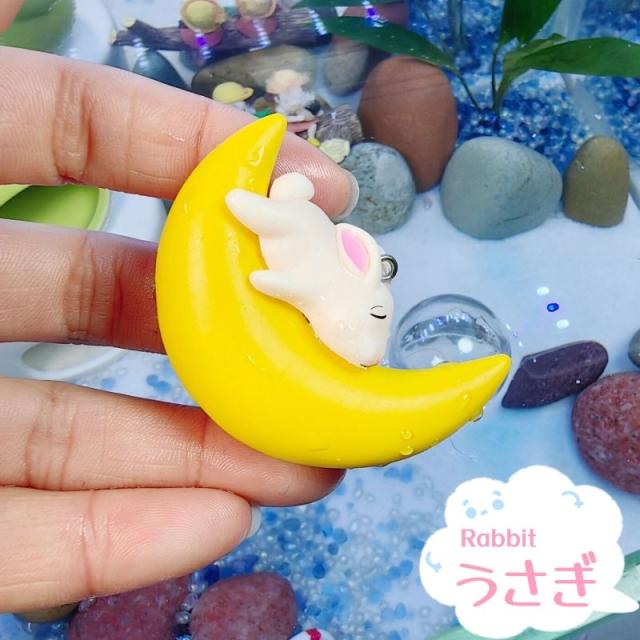 海のお月様 ピンク うさぎ インテリア アクアリウム 置物 海のお月様 ピンク うさぎ インテリア アクアリウム 置物 Amazon