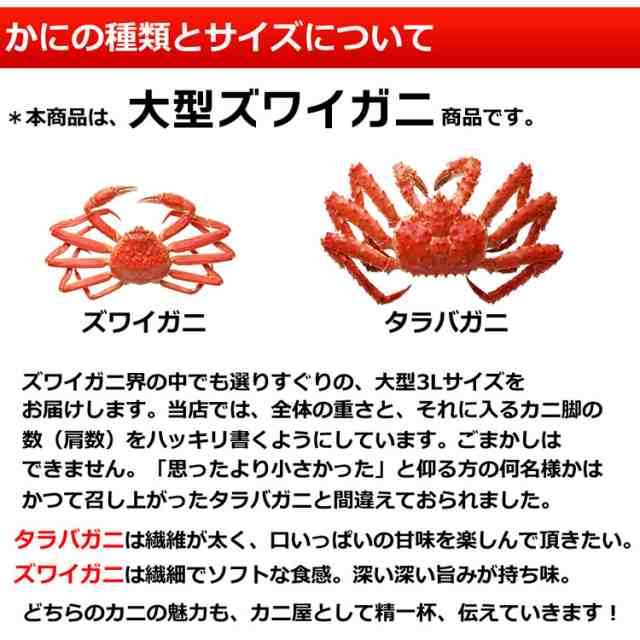 特大 ずわいがに 脚 2kg (4L・5Lサイズ)【化粧箱入】 送料無料 ズワイガニ ズワイ蟹 ずわい蟹 ボイル 蟹 かに 脚の通販はau PAY  マーケット - カニ缶詰のOH！GLE（オーグル） | au PAY マーケット－通販サイト