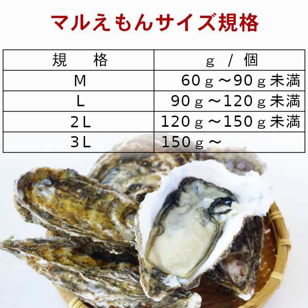 マルえもん　PAY　お正月の通販はau　マルマサ物産　au　お取り寄せグルメ　マーケット　厚岸産カキ　2023　Lサイズ(90〜120g)×20個　PAY　年末年始　お歳暮　ギフト　殻付き生牡蠣　マーケット－通販サイト