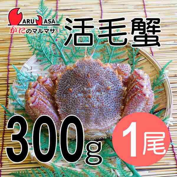 かにのマルマサ お取り寄せ ギフト 毛ガニ 北海道産 冷蔵 活毛がに 300g 1尾 毛蟹 堅蟹 カニ通販 海産物の通販はau Pay マーケット マルマサ物産