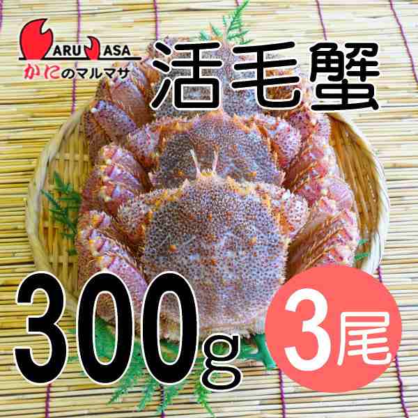 かにのマルマサ お取り寄せ ギフト 毛ガニ 北海道産 冷蔵 活毛がに 300g 3尾 セット 毛蟹 堅蟹 カニ通販 海産物の通販はau Pay マーケット マルマサ物産