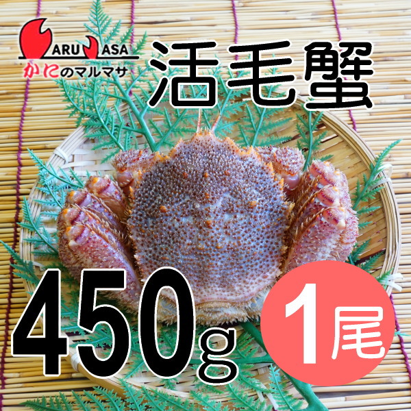 かにのマルマサ お取り寄せ ギフト 毛ガニ 北海道産 冷蔵 活毛がに 450g 1尾 毛蟹 堅蟹 カニ通販 海産物の通販はau Pay マーケット マルマサ物産