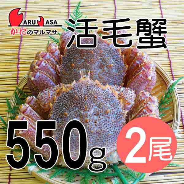 PAY　au　海産物　マルマサ物産　堅蟹　カニ通販　ギフト　かにのマルマサ　冷蔵　毛ガニ【北海道産　お取り寄せ　マーケット　PAY　活毛がに(550g×2尾)セット】毛蟹　道産品の通販はau　マーケット－通販サイト