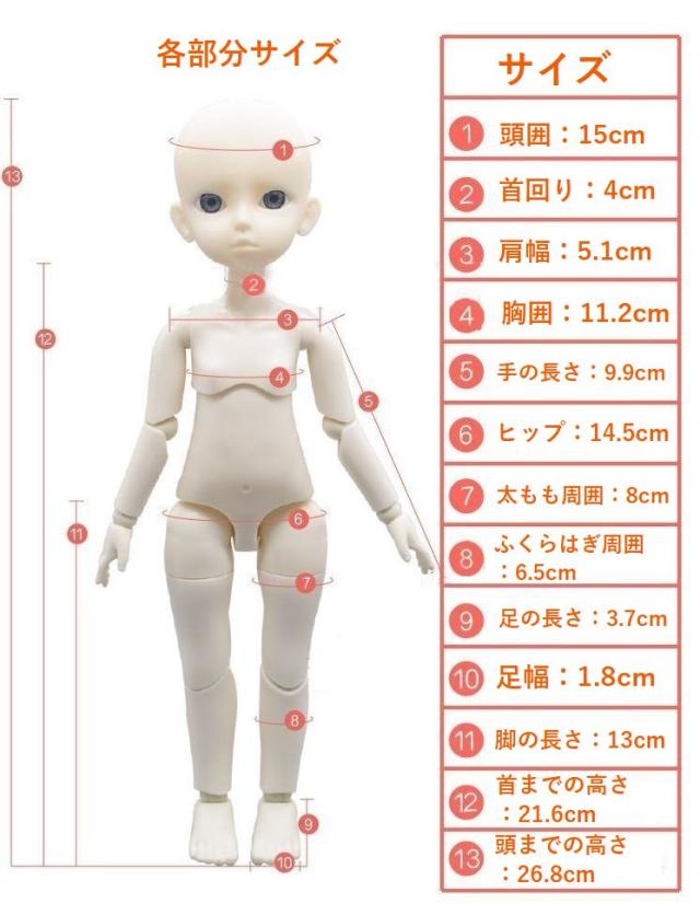 ドールボディ ヌードボディ 球体関節人形 bjd 1/6 30cmボディ