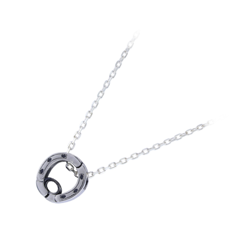 高額売筋 シルバー ネックレス シルバーネックレス おしゃれなペンダント リングホルダーネックレス ２way 蹄 馬 かっこいい おしゃれ メンズ ネックレス Www Vicit World