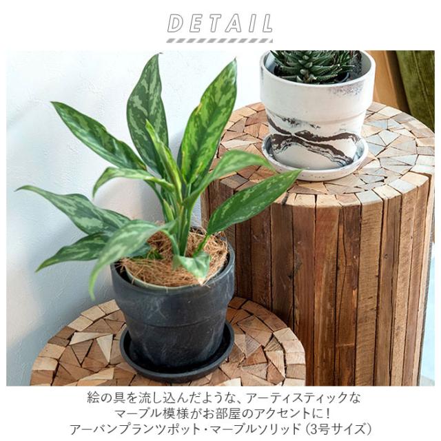 植木鉢 プラスチック お洒落 3号 通販 プランター おしゃれ 植木 植木鉢 プラスチック お洒落 3号 通販 プランター おしゃれ 植木