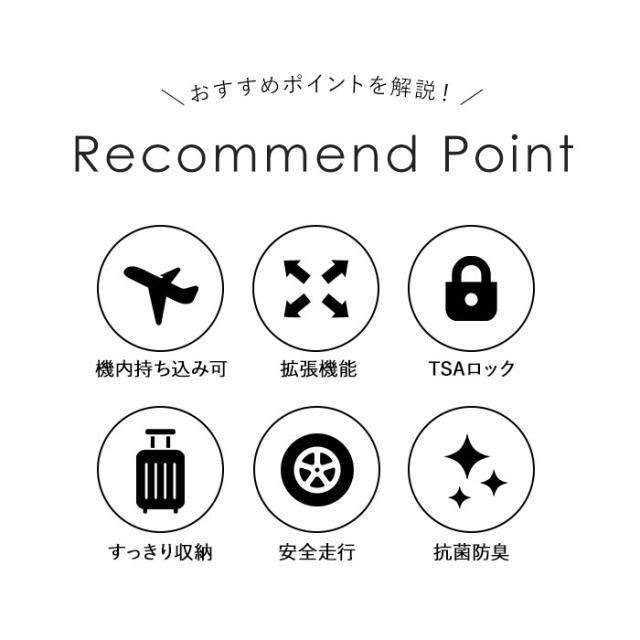 ワイズリー スーツケース 338-2401 通販 キャリーケース キャリーバッグ 旅行カバン コロコロ 旅行かばん メンズ レディース 拡張 37L 41L TSAロック 軽量 軽い 抗菌 防臭 ダブルキャスター 338-02401 wisely バッグ_3