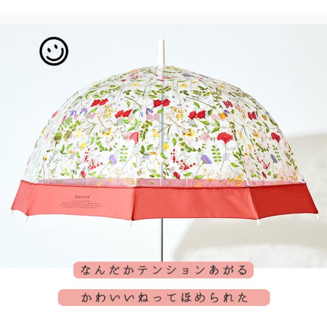 Wpc ビニール傘 かわいい おしゃれ 65cm 通販 丈夫 大きい 傘 レディース 長傘 大きめ ブランド Plantica プランティカ 雨傘 ドーム型 グの通販はau Pay マーケット Backyard Family ママタウン Au Pay マーケット店