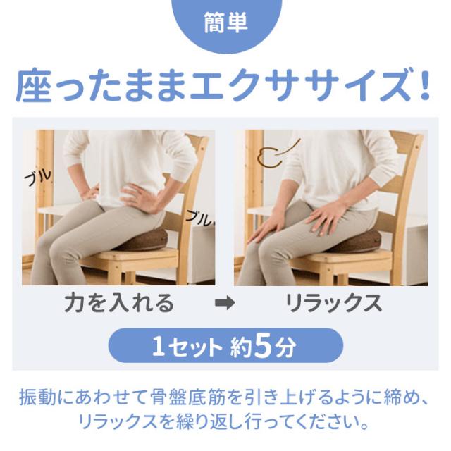 新品未使用　骨盤底筋　クッション　電磁パルス ⭐︎新品未使用⭐︎骨盤底筋トレーニング 電磁パルス 坐骨クッション