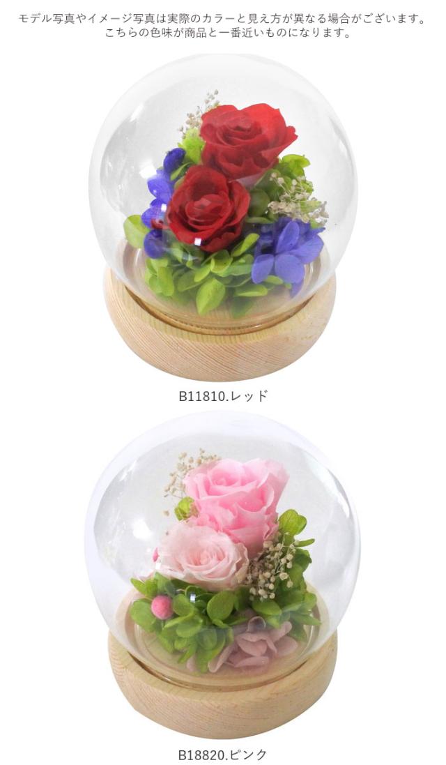 プリザーブドフラワー ガラスドーム 通販 フラワーアレンジメント