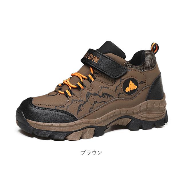 キッズシューズ ハイキング 登山 通販 トレッキングシューズ ハイキングシューズ ウォーキングシューズ 登山靴 スニーカー シューズ 子供靴 運動靴 トレッキング ローカット