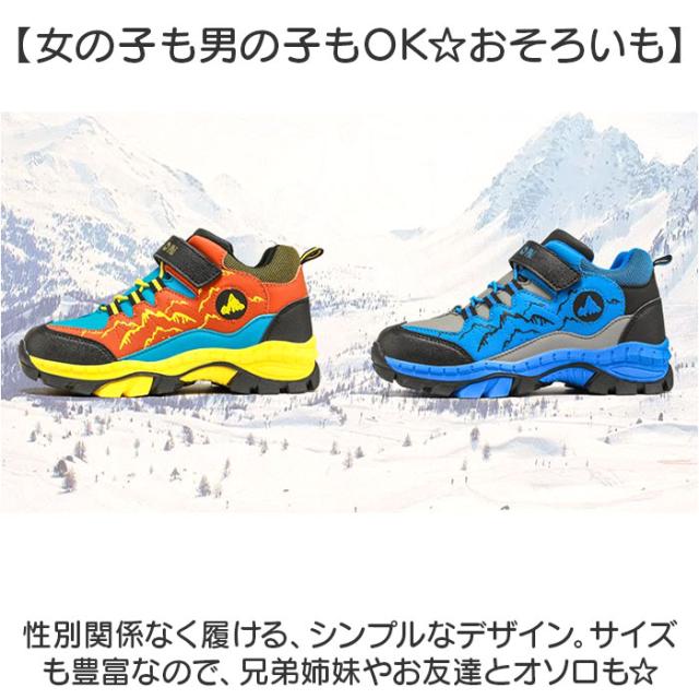 キッズシューズ ハイキング 登山 通販 トレッキングシューズ ハイキングシューズ ウォーキングシューズ 登山靴 スニーカー シューズ 子供靴 運動靴 トレッキング ローカット