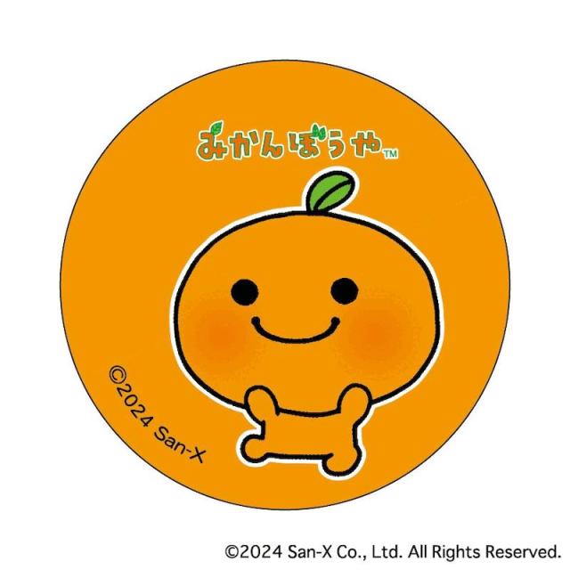 みかんぼうや グッズ 通販 サンエックスレジェンド 缶バッジ まじかる