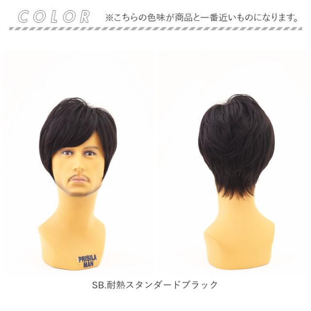 prisila プリシラ ウィッグ MA-10 メンズ 通販 オールウイッグ オールウィッグ フルウィッグ フルウイッグ 全頭かつら かつら ウイッグ メンズウィッグ カツラ 男性用 男性 PRISILA ミディショート コスプレ おしゃれ 自然_15