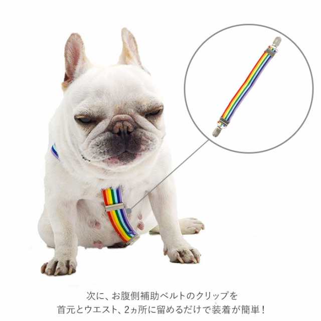 犬 オムツ サスペンダー 通販 おむつ 犬用サスペンダー 犬用 2点留め 3点留め マナーパンツ ずれにくい ドッグウェア ペットウェア いぬ  の通販はau PAY マーケット - BACKYARD FAMILY ママタウン au PAY マーケット店